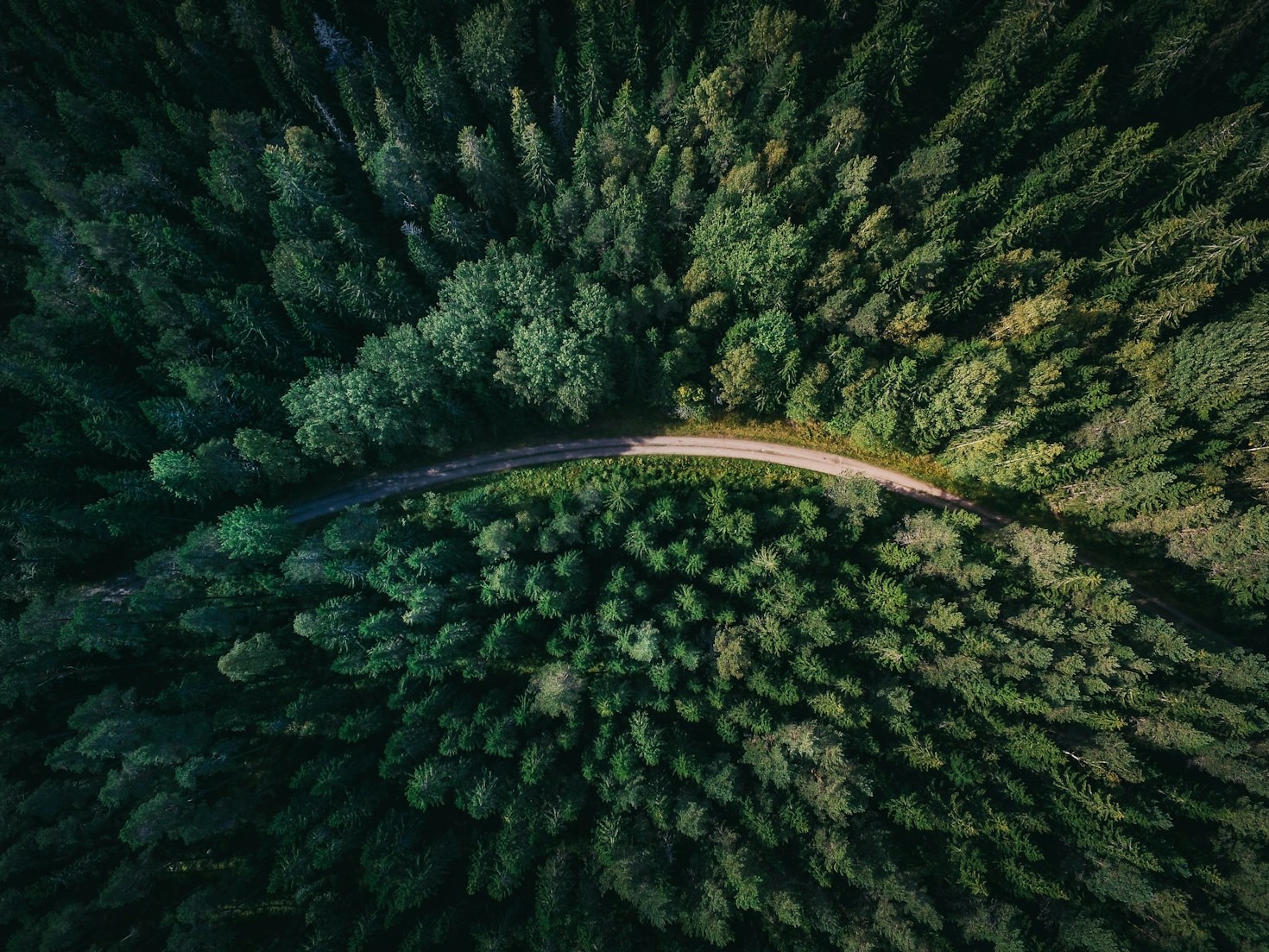 Consultoria Ambiental: Soluções Efetivas para Arboviroses