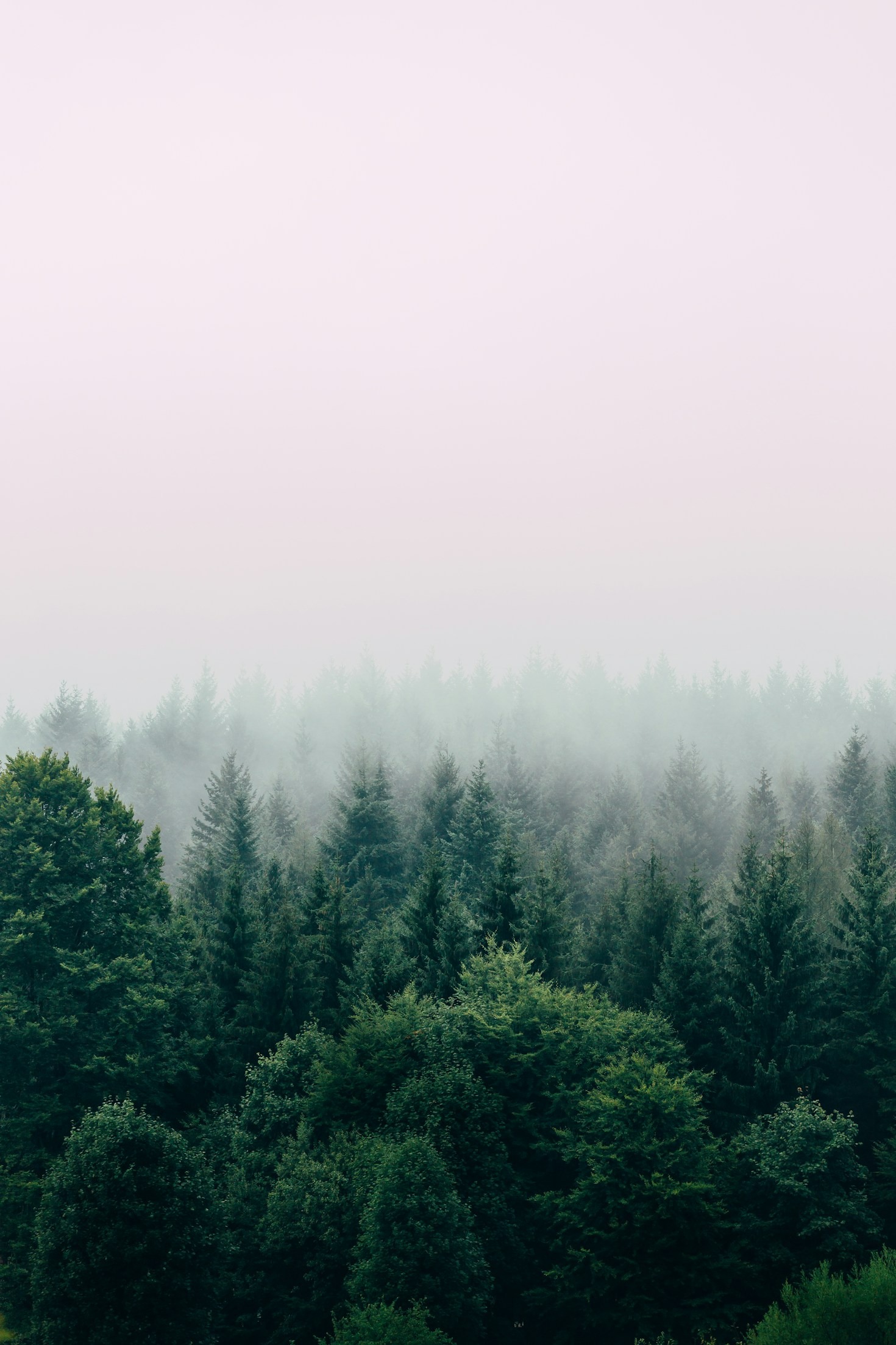O Futuro das Cidades com Saúde e Sustentabilidade